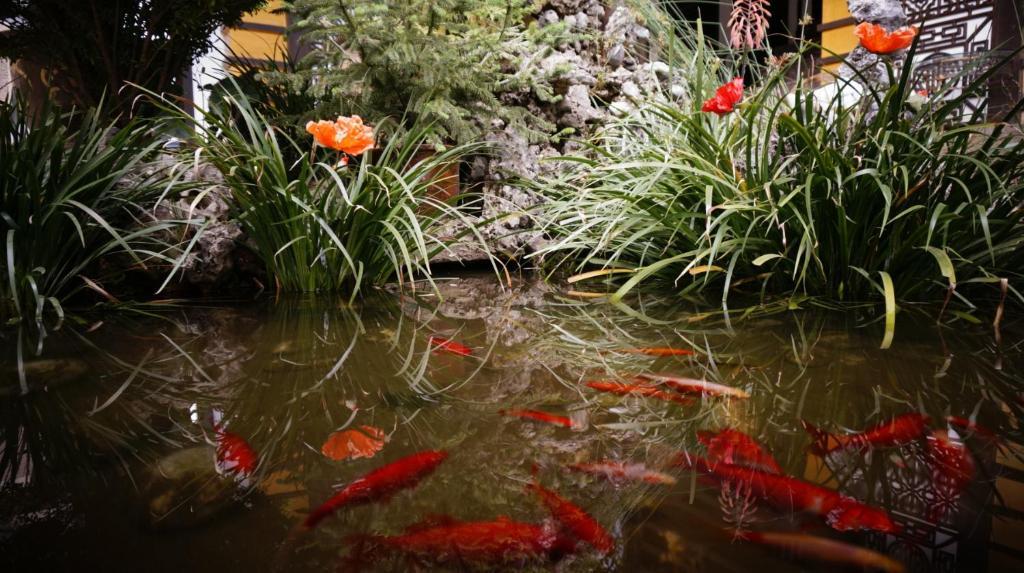 Lijiang Wangjia Courtyard Inn Екстер'єр фото